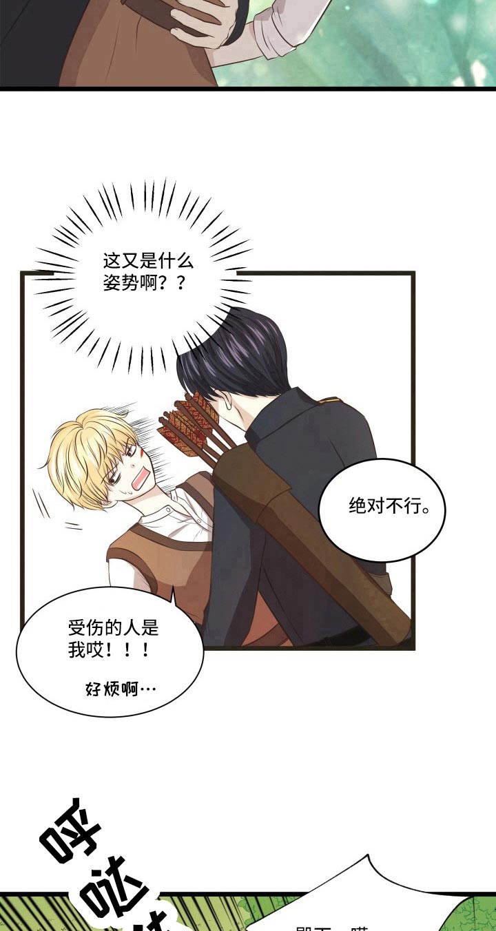 与王子假扮情侣 -   - 第14页