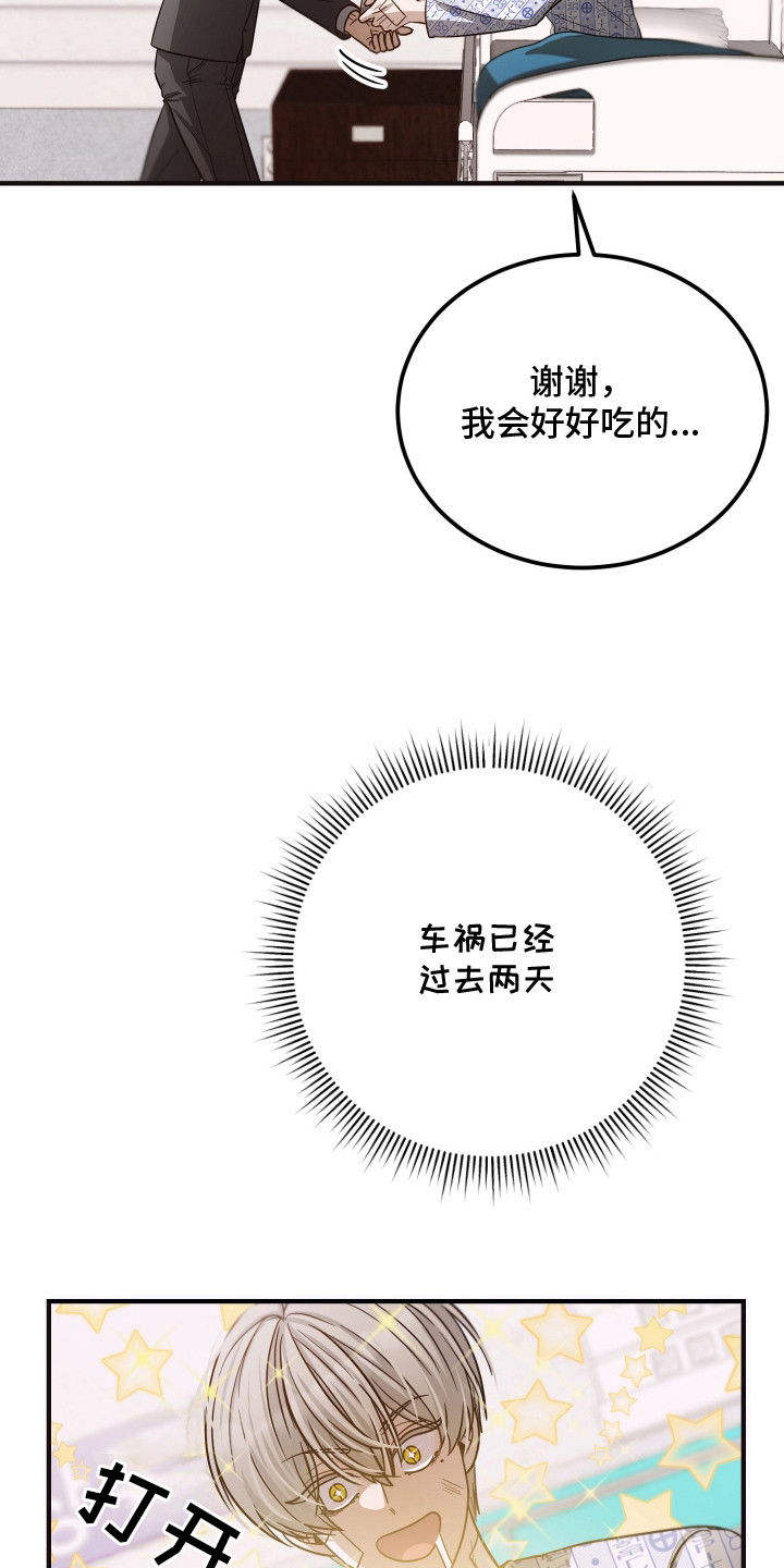 心陷谎言 - 失忆？ - 第20页