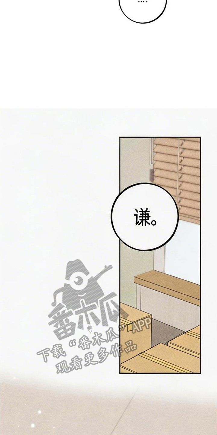 等你说喜欢 - 重逢 - 第19页