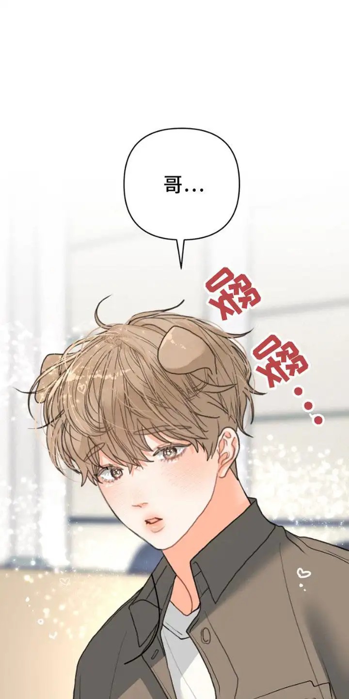 单恋小奶狗 - 躲避 - 第19页