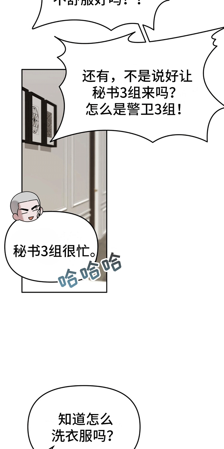 秘书生存日记 - 新的麻烦事 - 第15页
