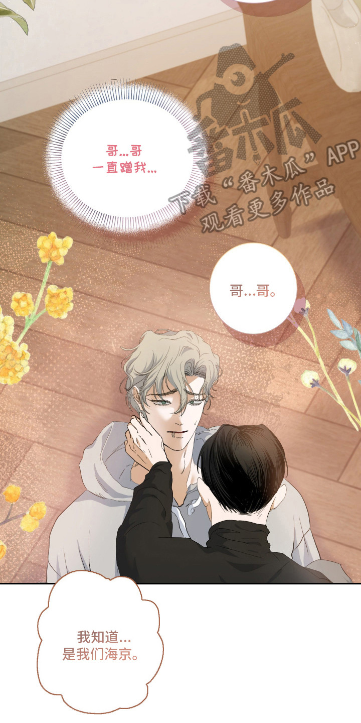 纯血人类与家养兔 - 进退维谷 - 第9页
