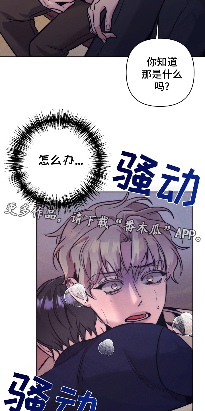 虚假烙印 - 信息素 - 第12页