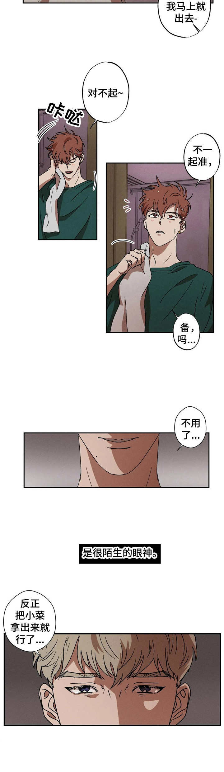 双重陷阱 - 陌生 - 第12页