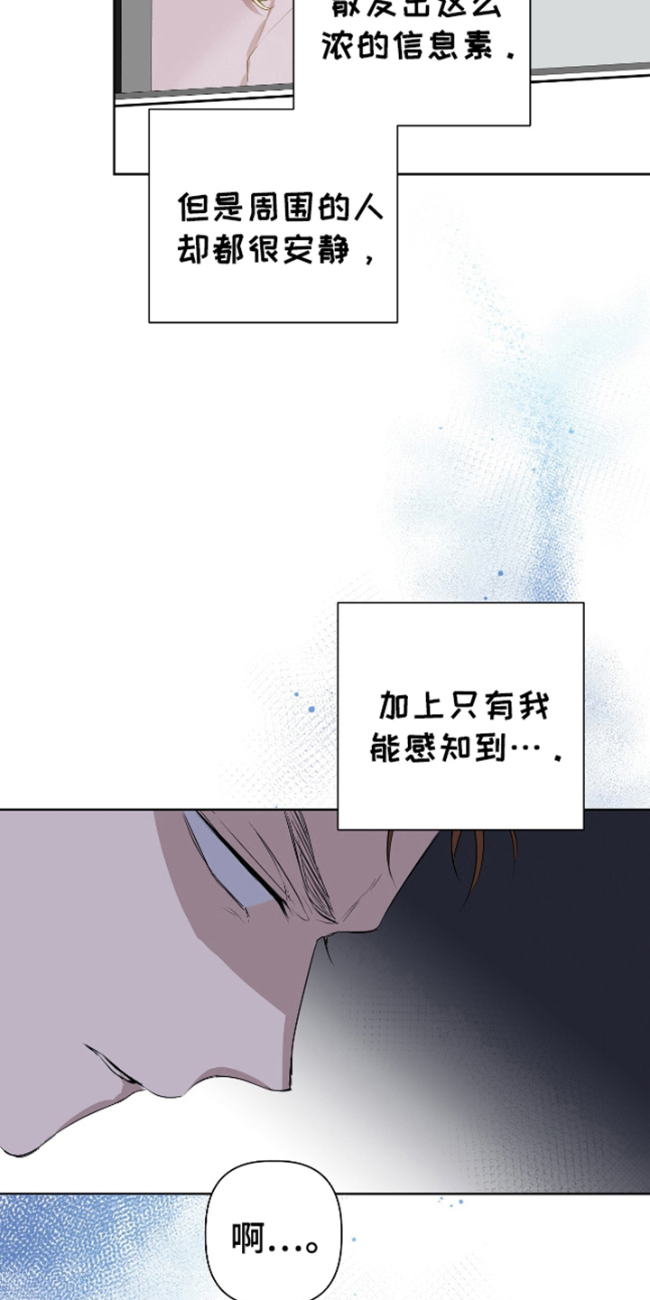 完全欧米伽 - 特殊信息素 - 第11页