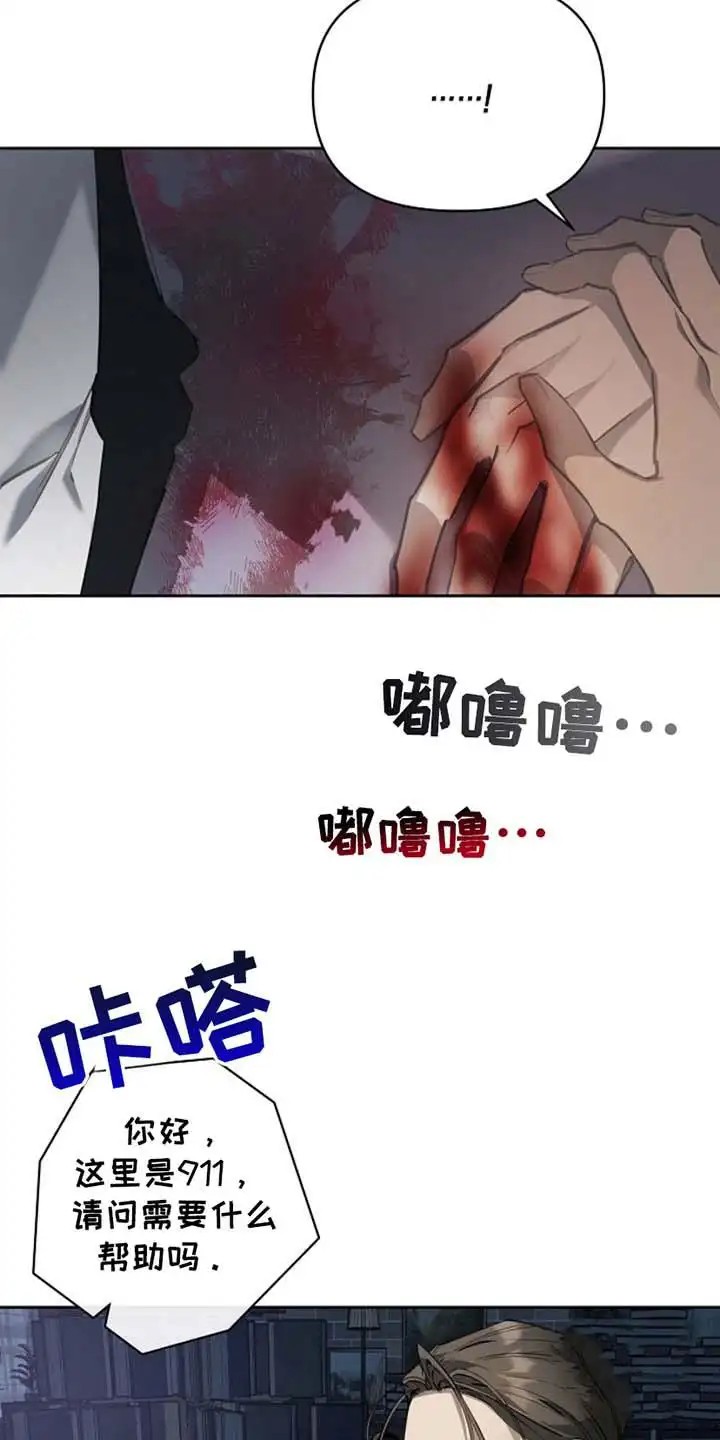 盛装来袭 - 帮助 - 第11页
