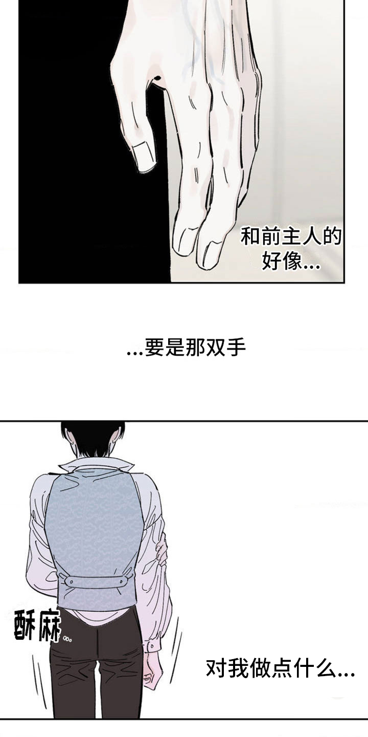 秘密公馆 - 渴求 - 第16页
