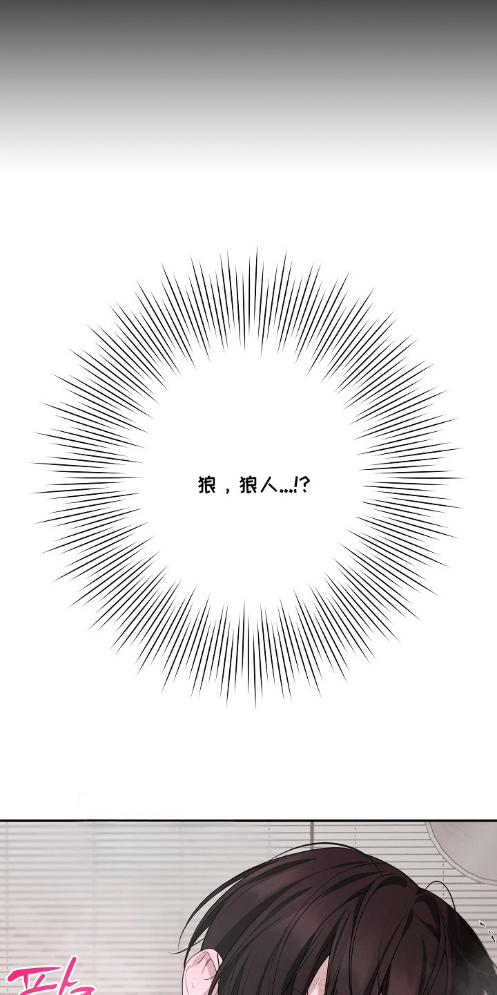 塔中猎物 - 狼人 - 第12页