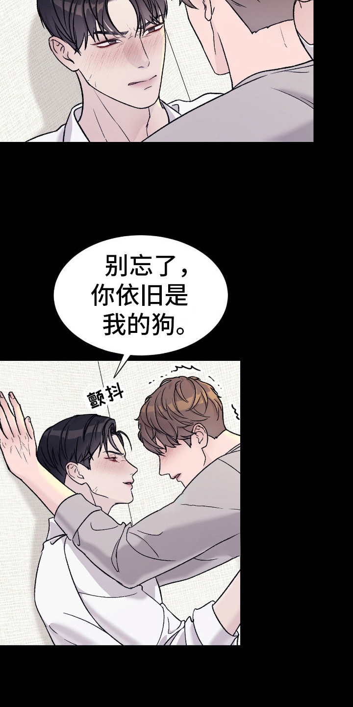 爱犬宝贝 - 精英职员 - 第7页