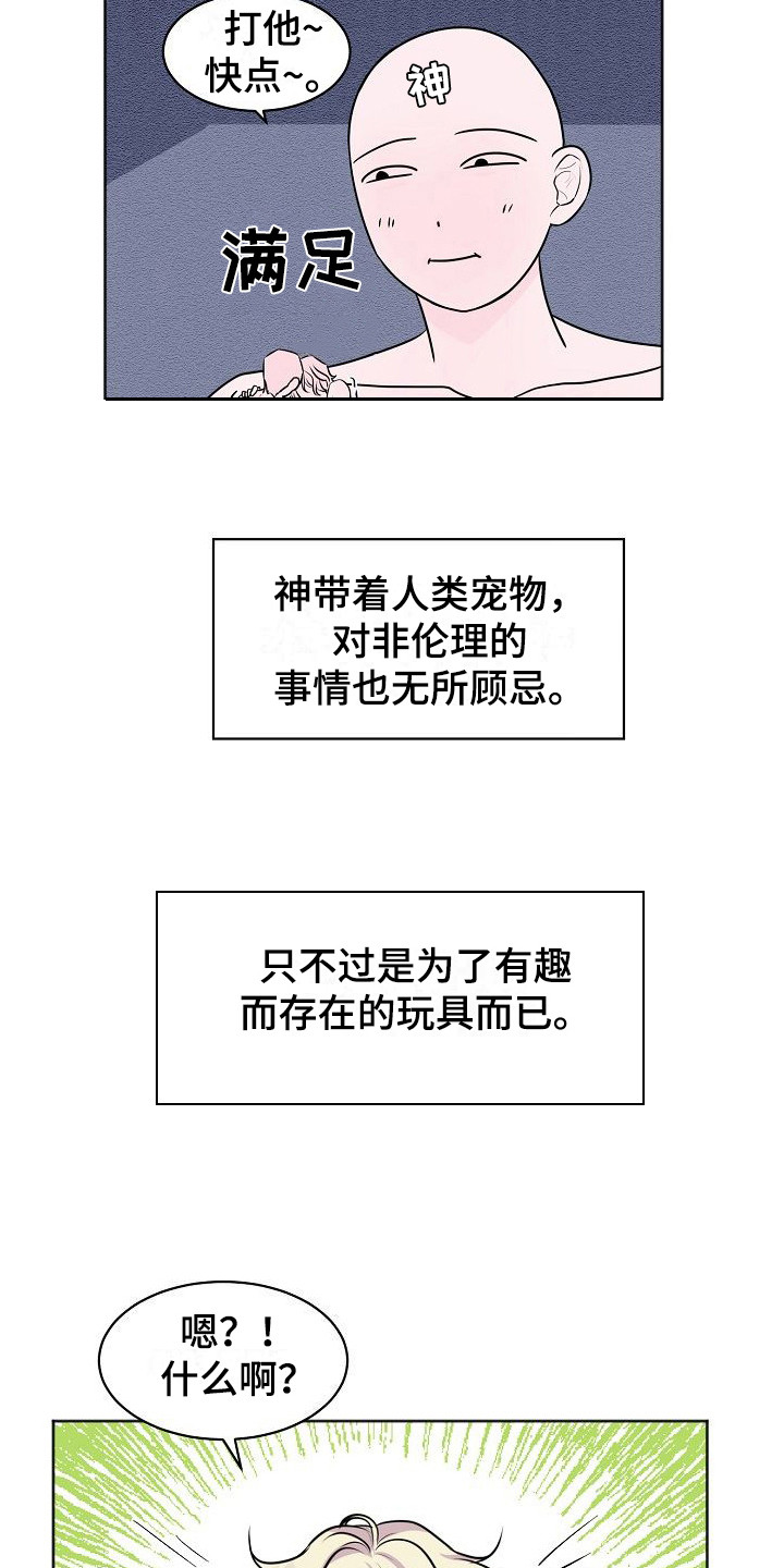 饲养计划 - 人类宠物 - 第13页