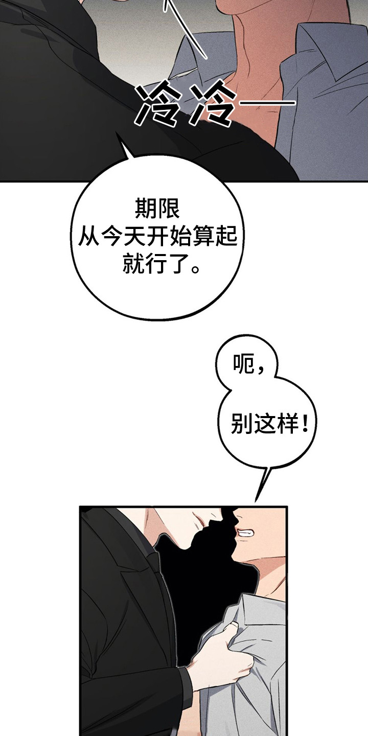 青涩初恋 - 别无选择 - 第8页