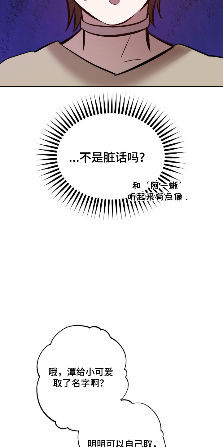 双生悲愿 - 取名 - 第17页