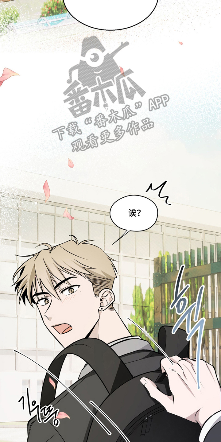 心跳点赞 - 初次见面 - 第16页