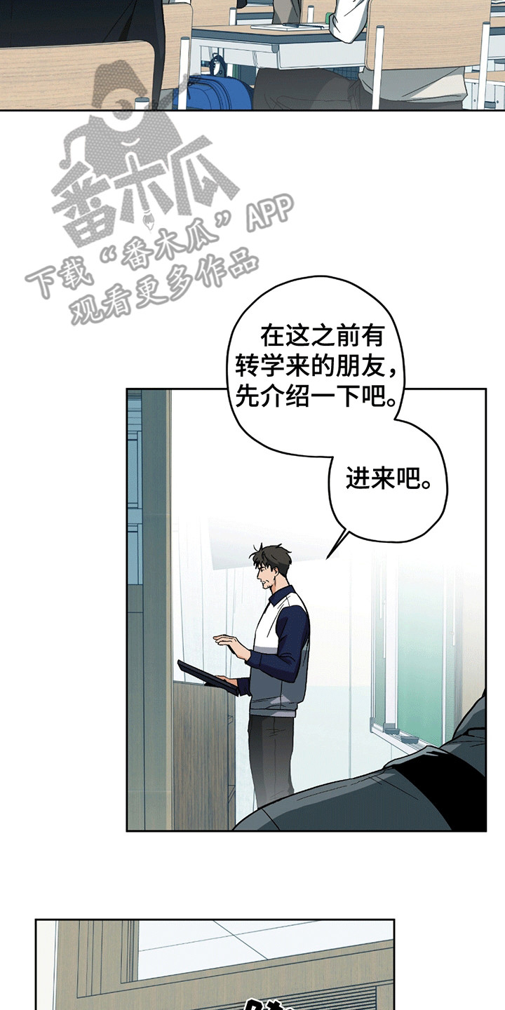 不是冤家不聚头 - 转校生 - 第10页