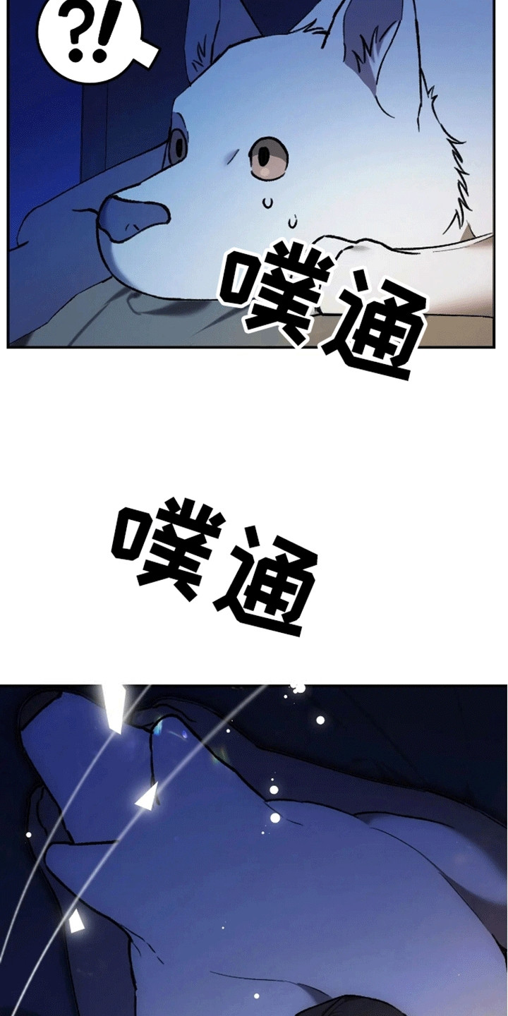 笼中白狼 - 睡眠搭子 - 第12页