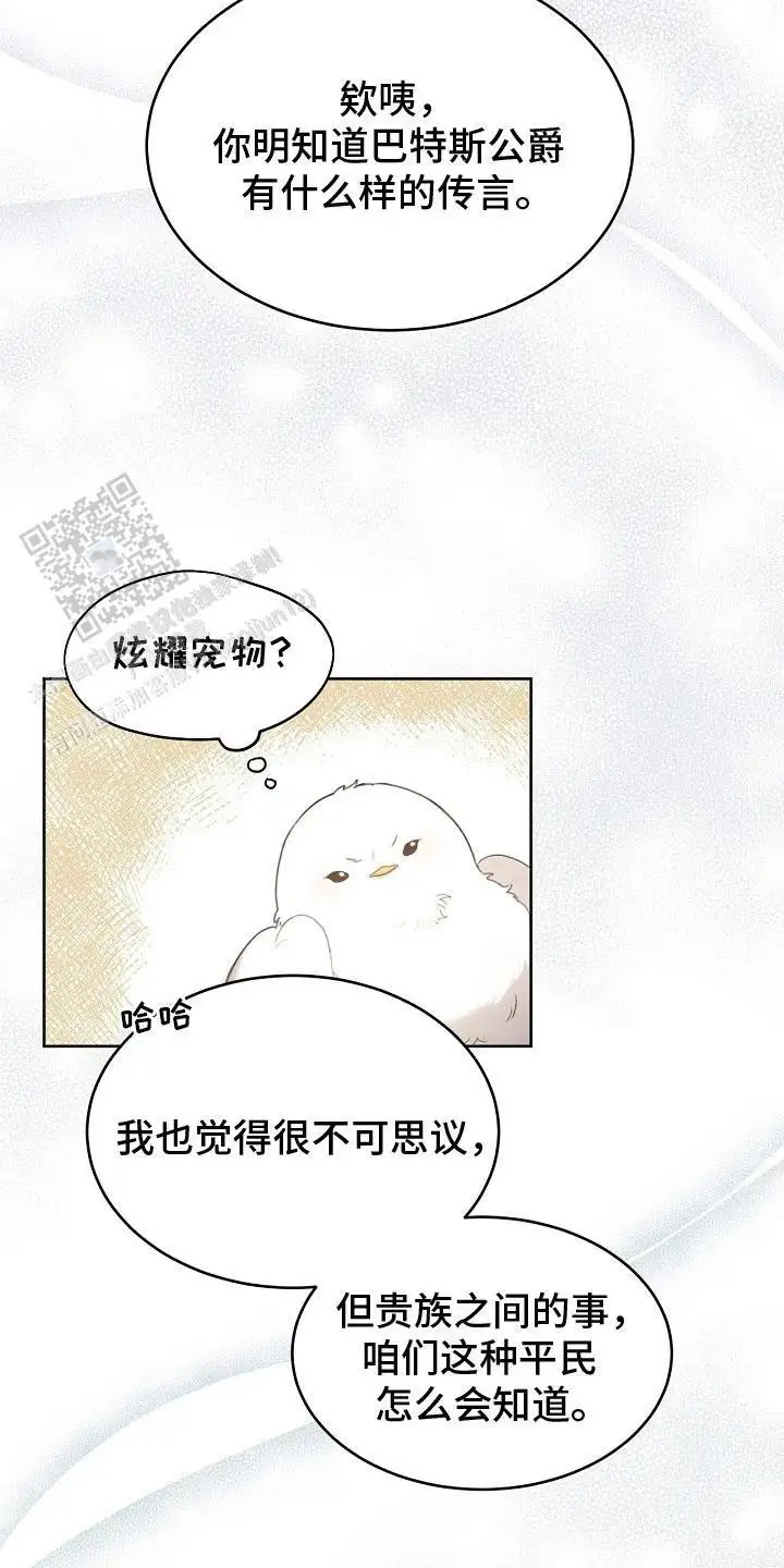白鸟奇遇记 - 公爵 - 第5页