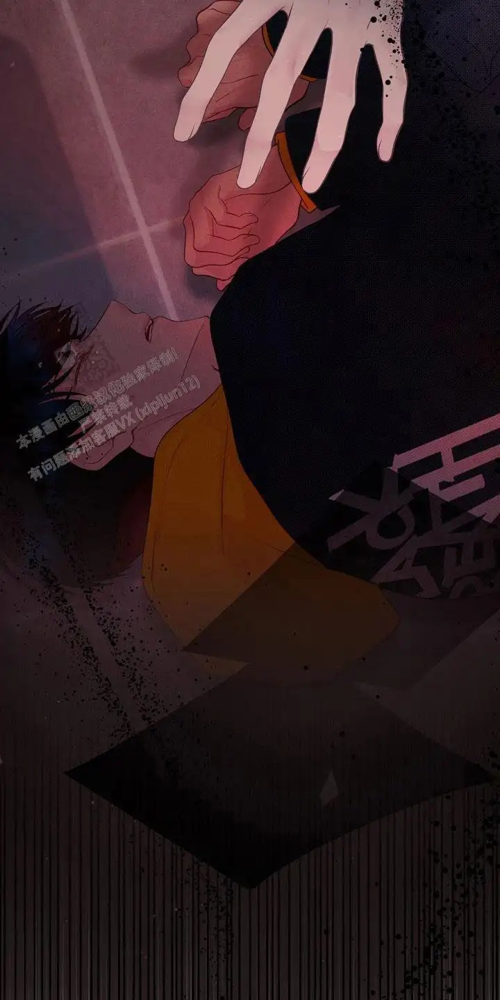 命运伴侣 - 好奇 - 第5页