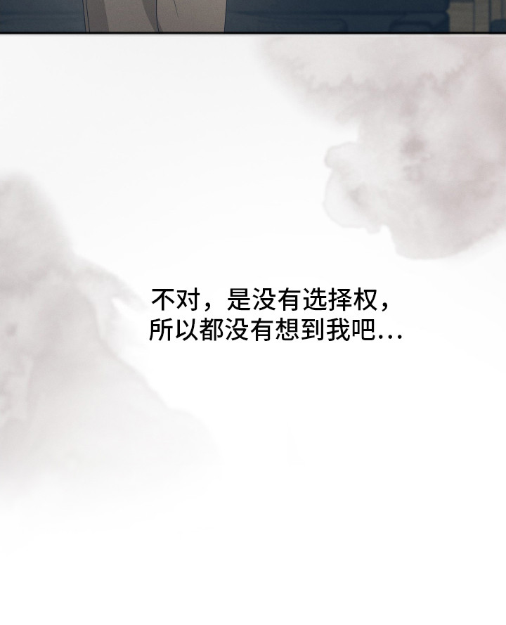 记忆的尽头 - 联姻 - 第19页