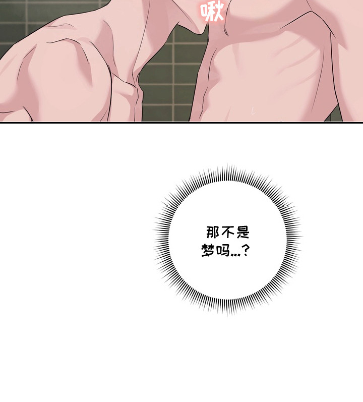 白狐日记 - 不是梦 - 第23页