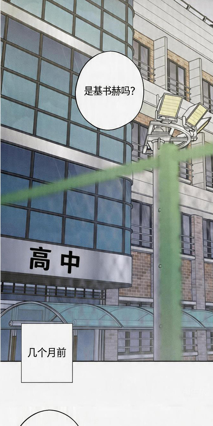 爱意沉寂 - 你是谁 - 第17页