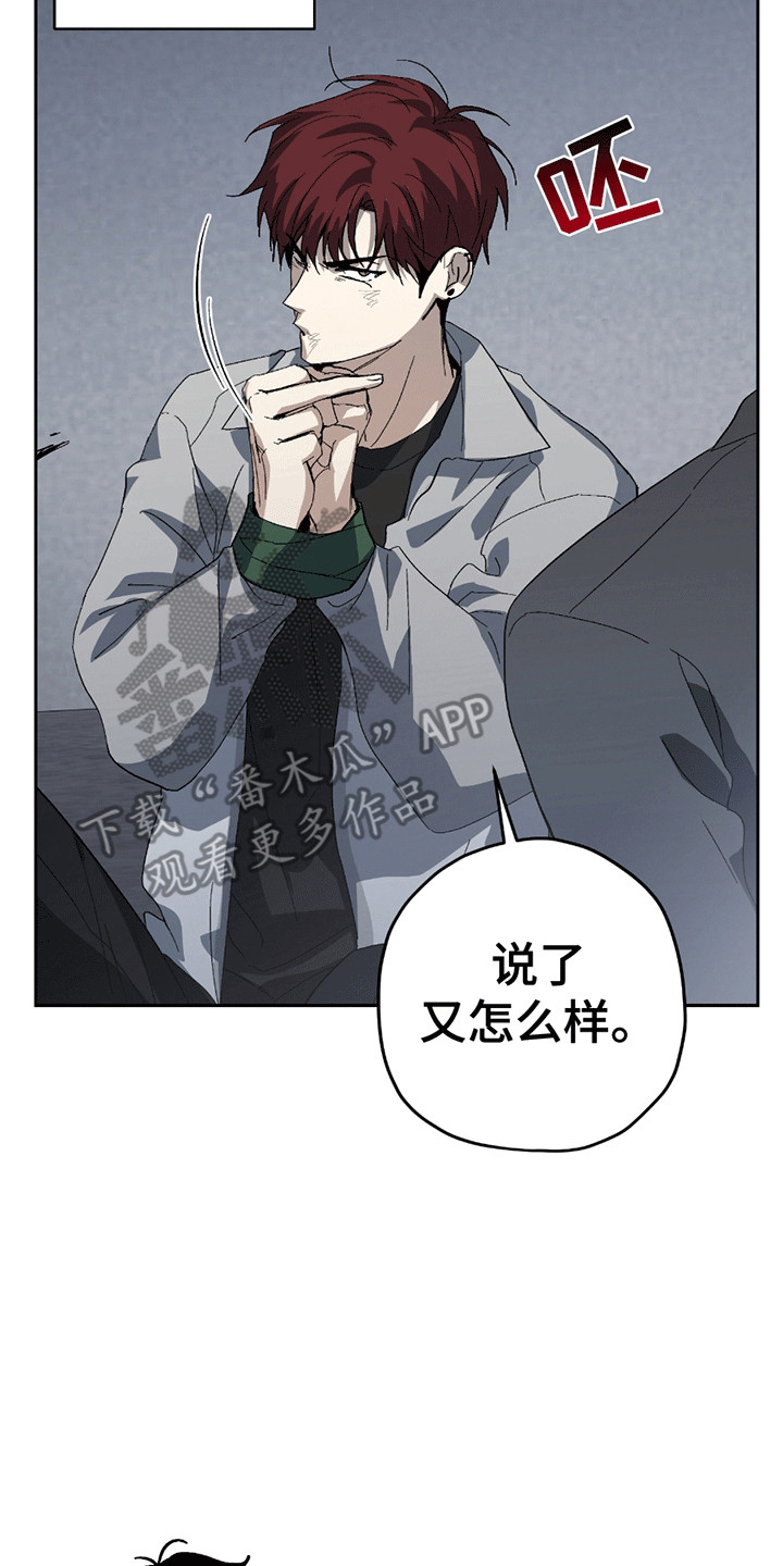 不是冤家不聚头 - 小学鸡吵架 - 第12页