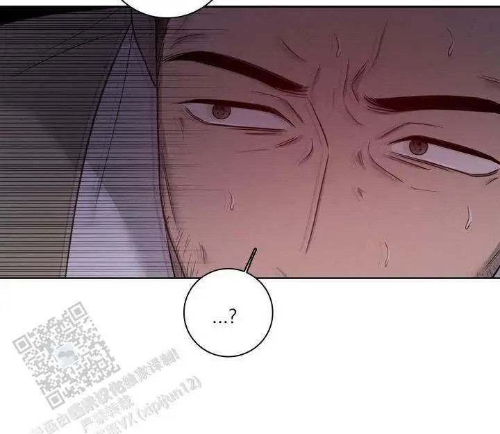七号球袋 - 赌台球 - 第28页