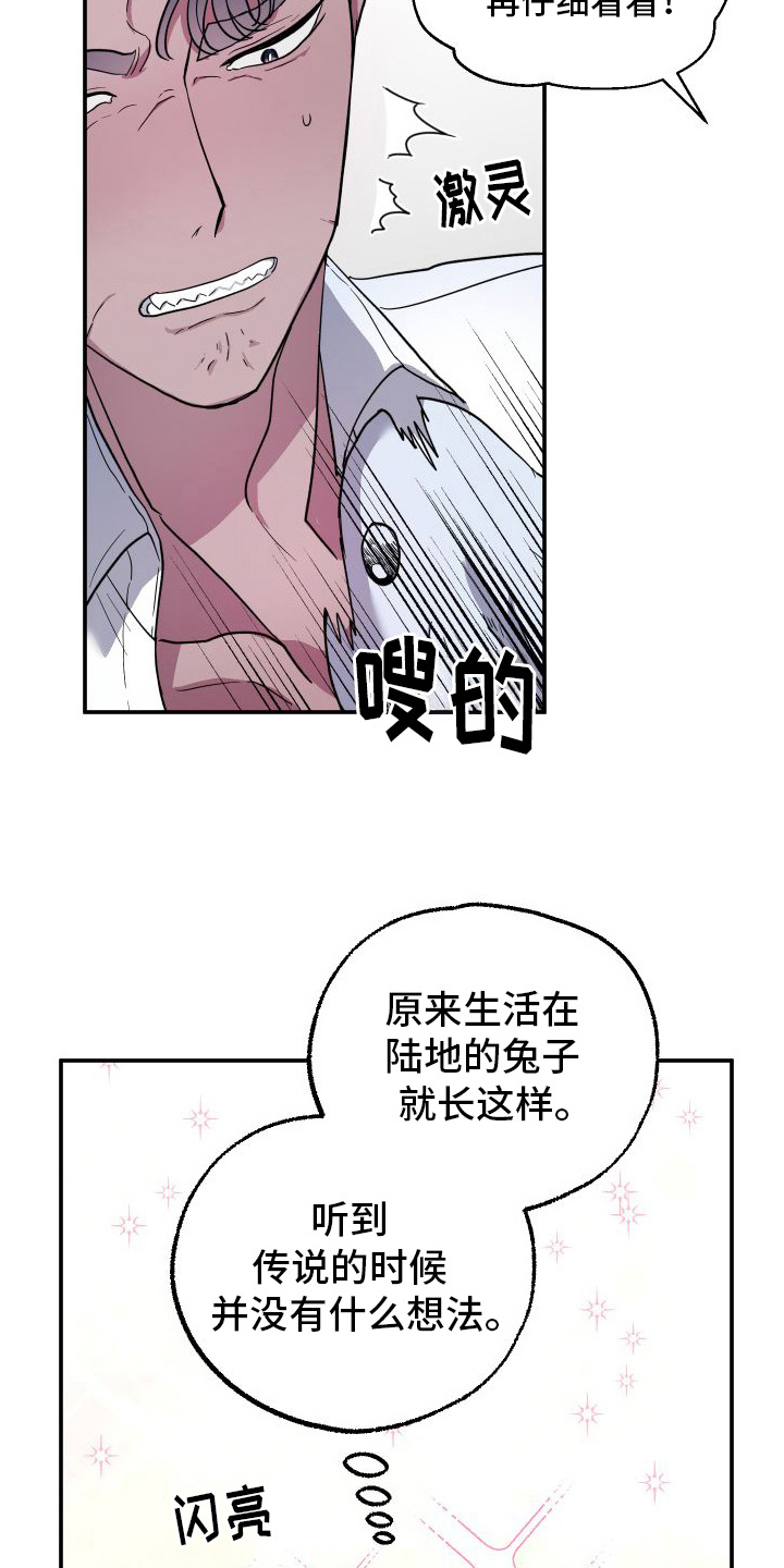 鲨鱼的新娘 - 兔子雕刻 - 第18页