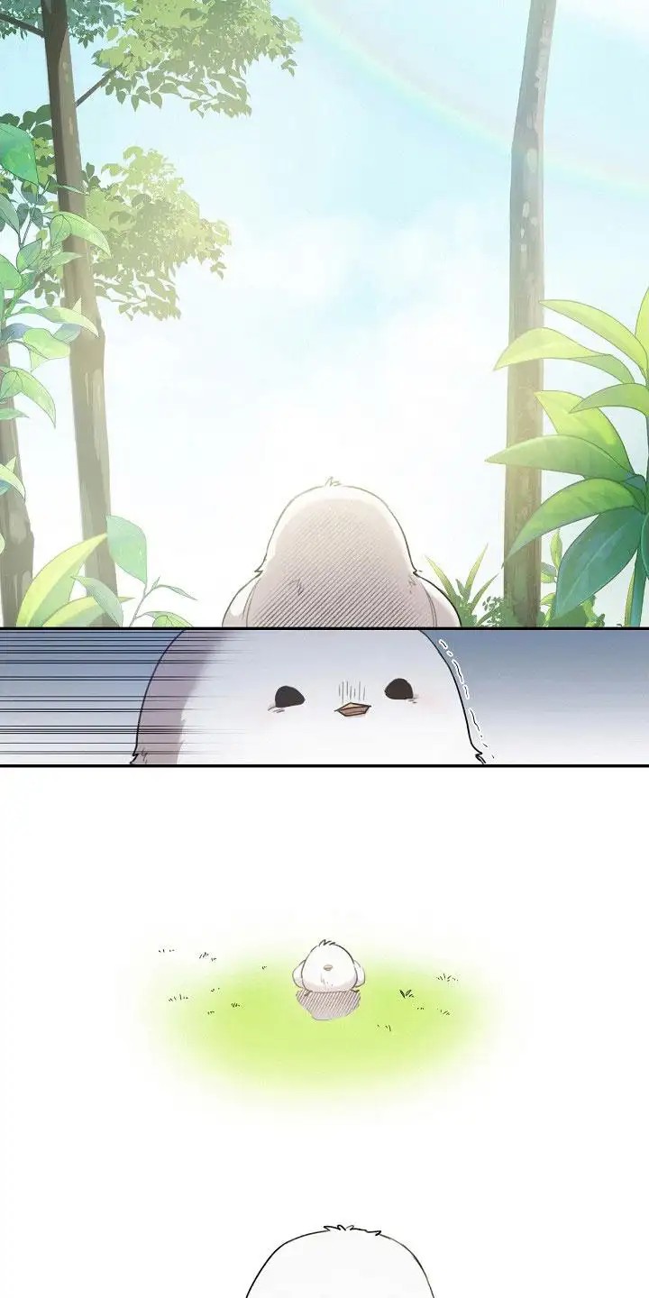 白鸟奇遇记 - 白色小鸟 - 第7页