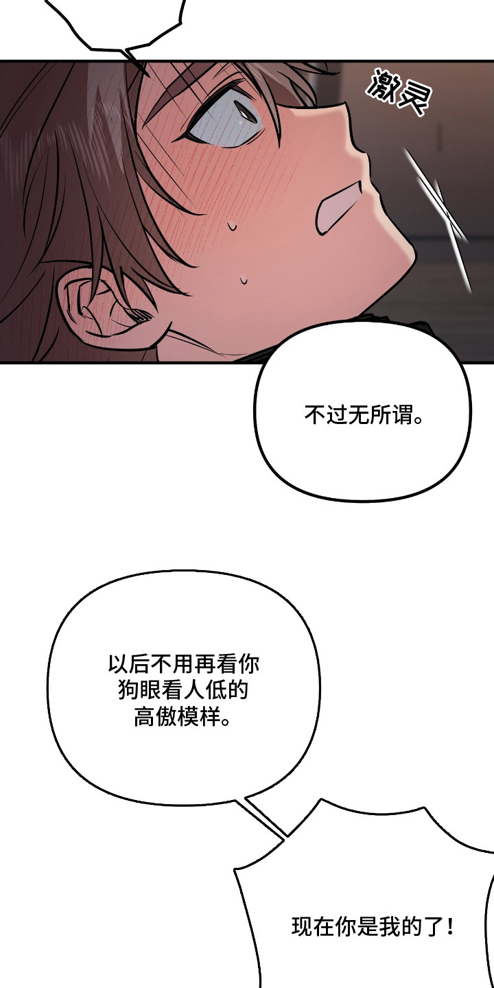 活体快递 - 特殊快递 - 第17页