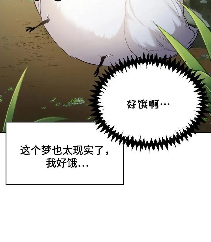 白鸟奇遇记 - 白色小鸟 - 第18页