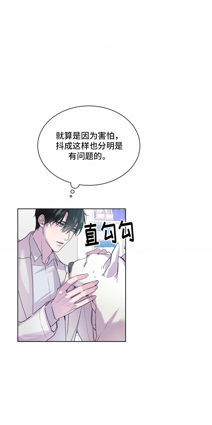呼吸的记忆 - 斗犬 - 第16页