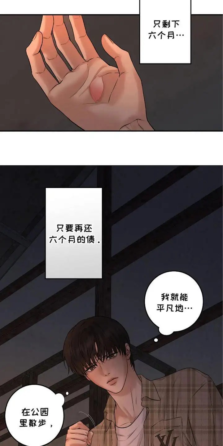 三月的樱花 - 大人物 - 第6页