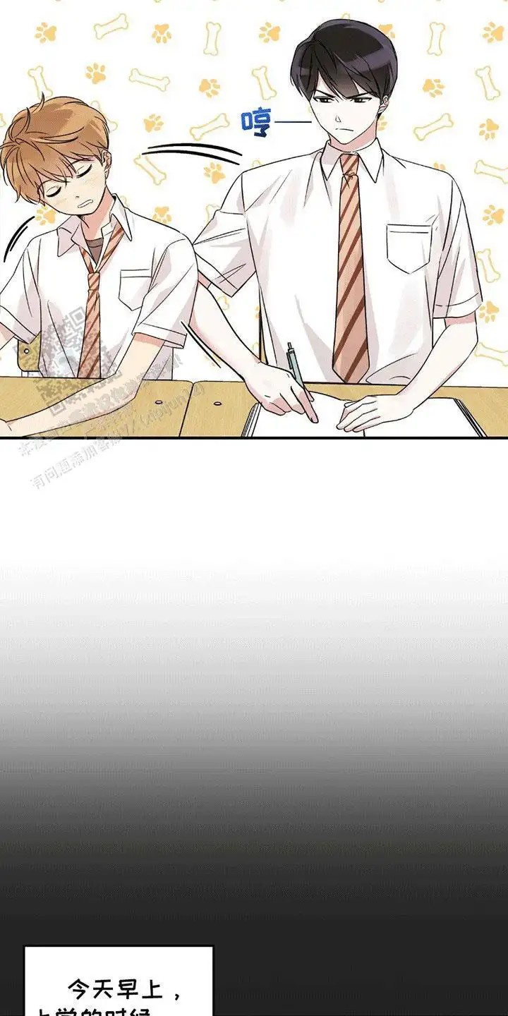 他的专属小狗 - 委屈 - 第15页