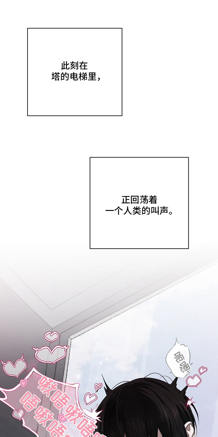 塔中猎物 - 很满意 - 第18页