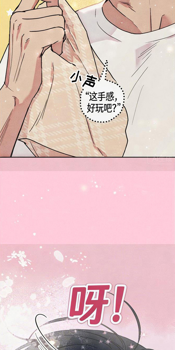 等你说喜欢 - 一见钟情 - 第17页