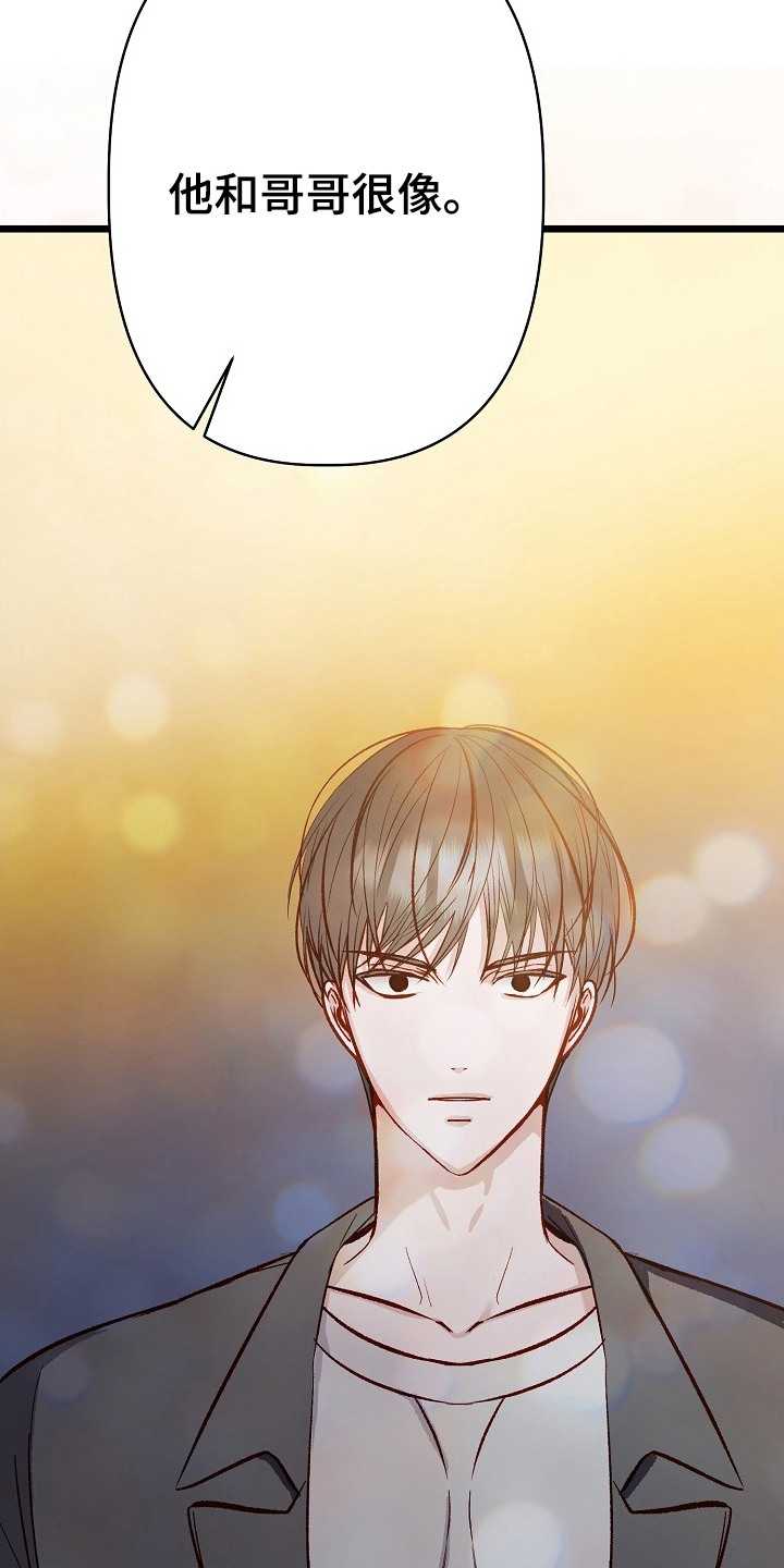 择偶副作用 - 天旋地转 - 第12页