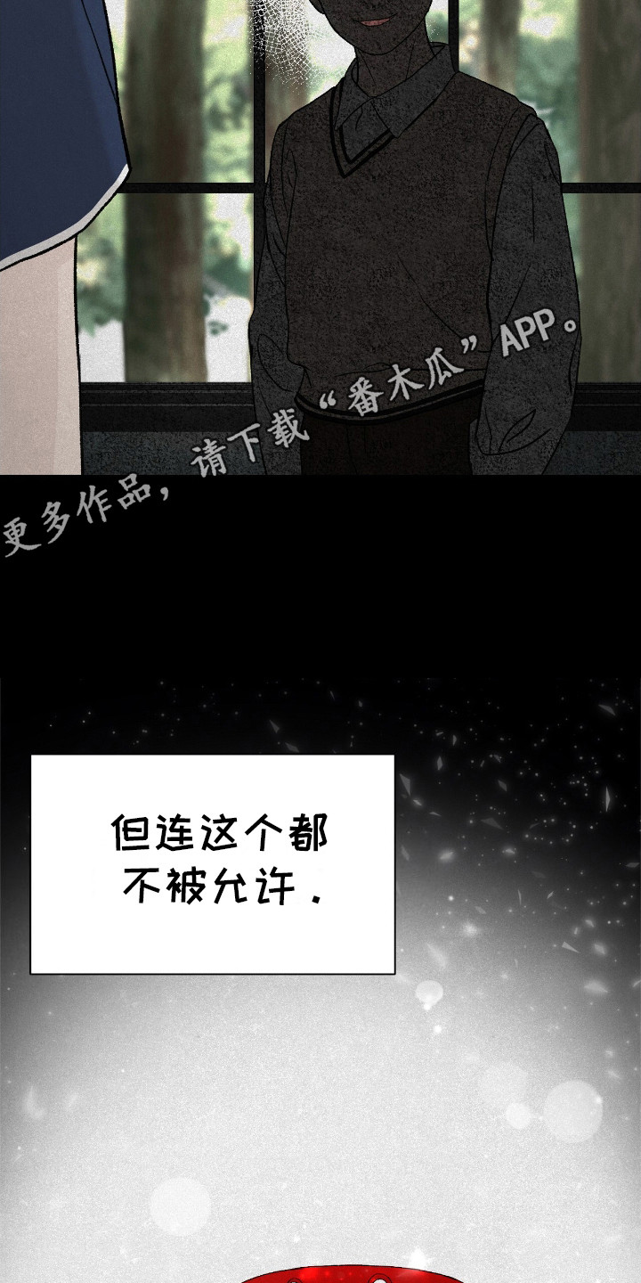 爱犬宝贝 - 摩卡 - 第6页