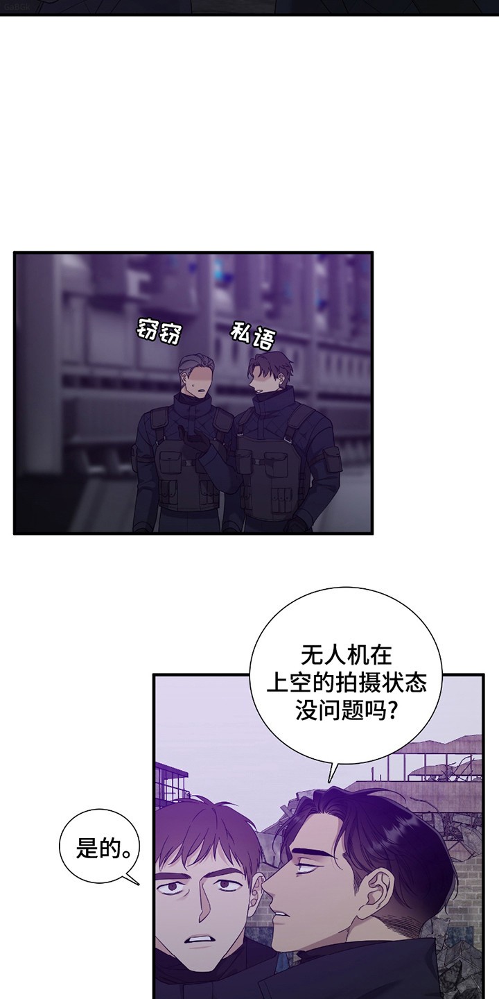 亲爱的夏娃 - 说闲话 - 第14页