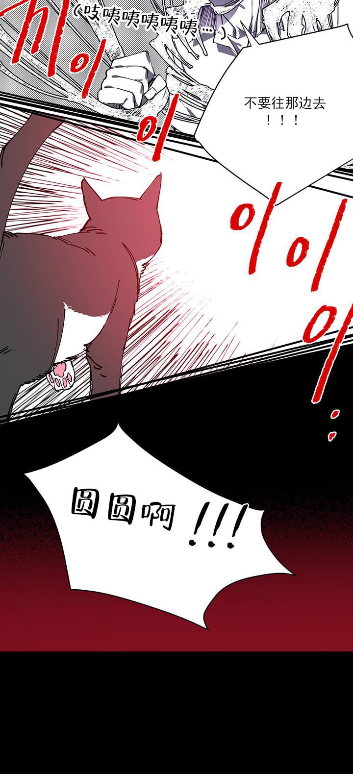 交错的海洋 -   - 第15页