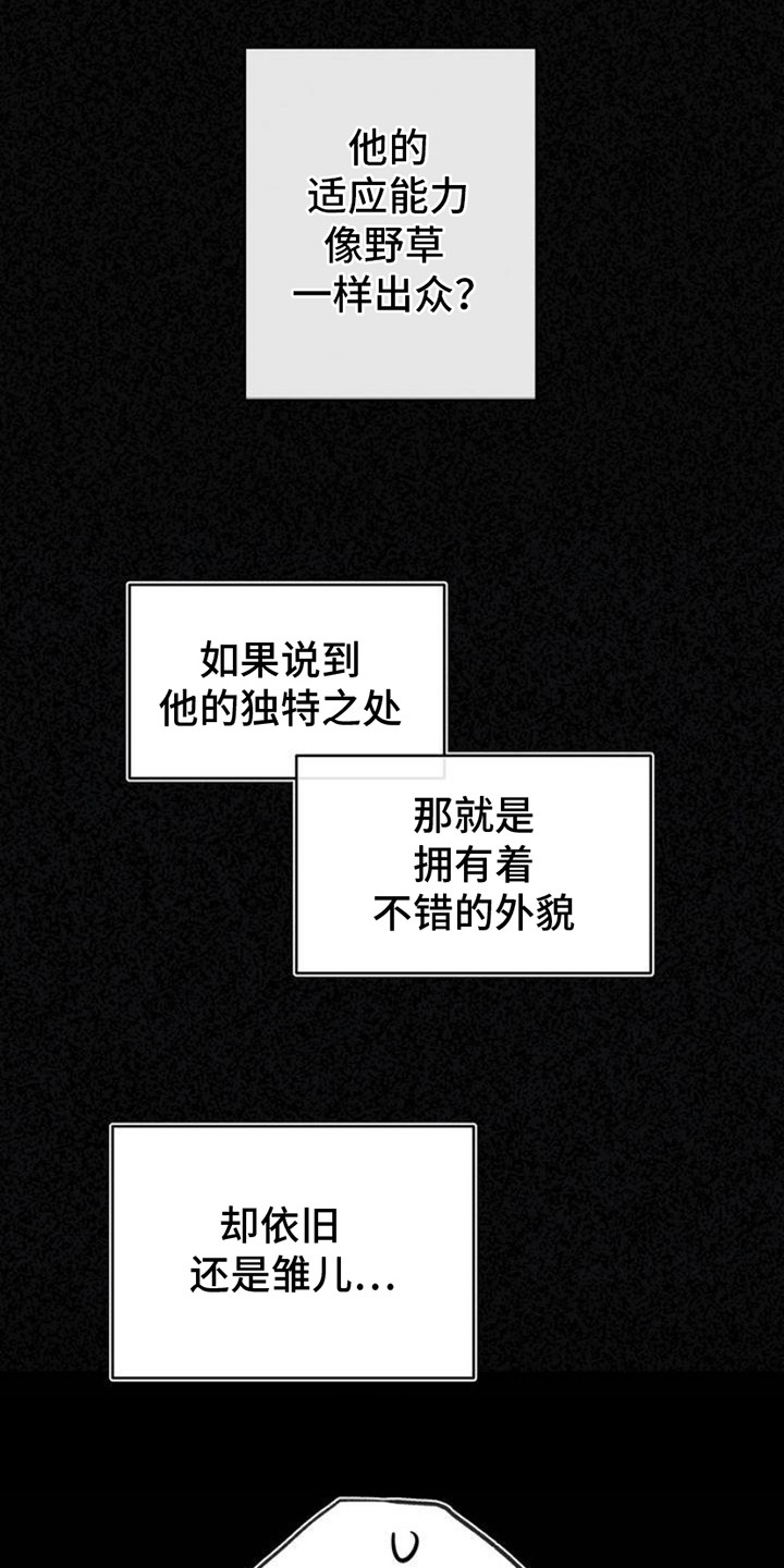 普雷 - 面试 - 第17页