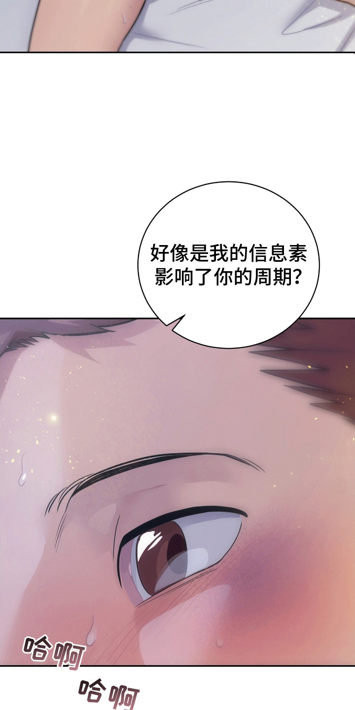 搏击俱乐部 - 得偿所愿 - 第5页