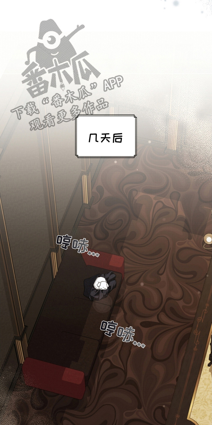 不要招惹小狗 - 传闻 - 第21页