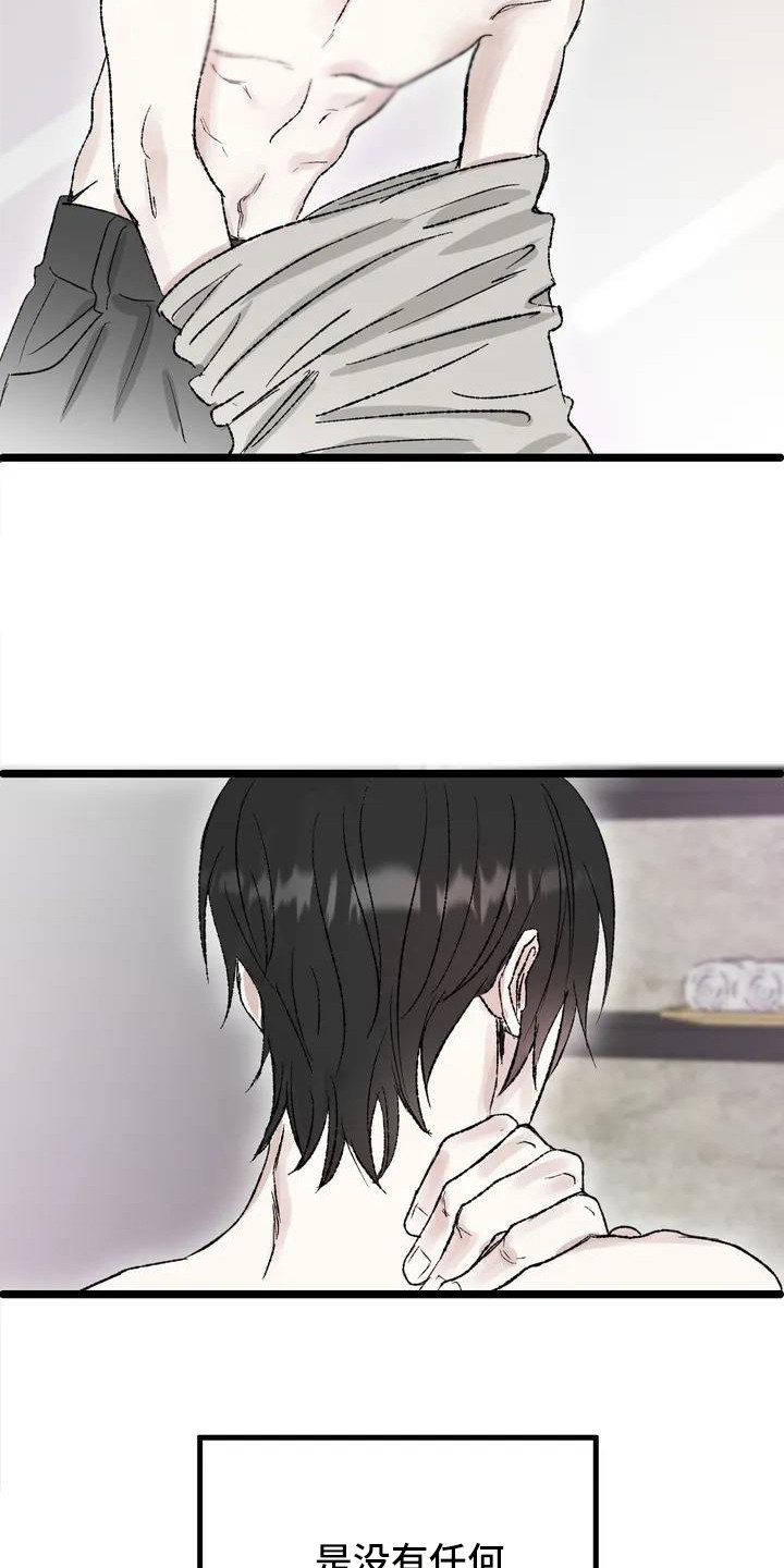 镜之诫 - 镜界暗面-兄弟 - 第12页