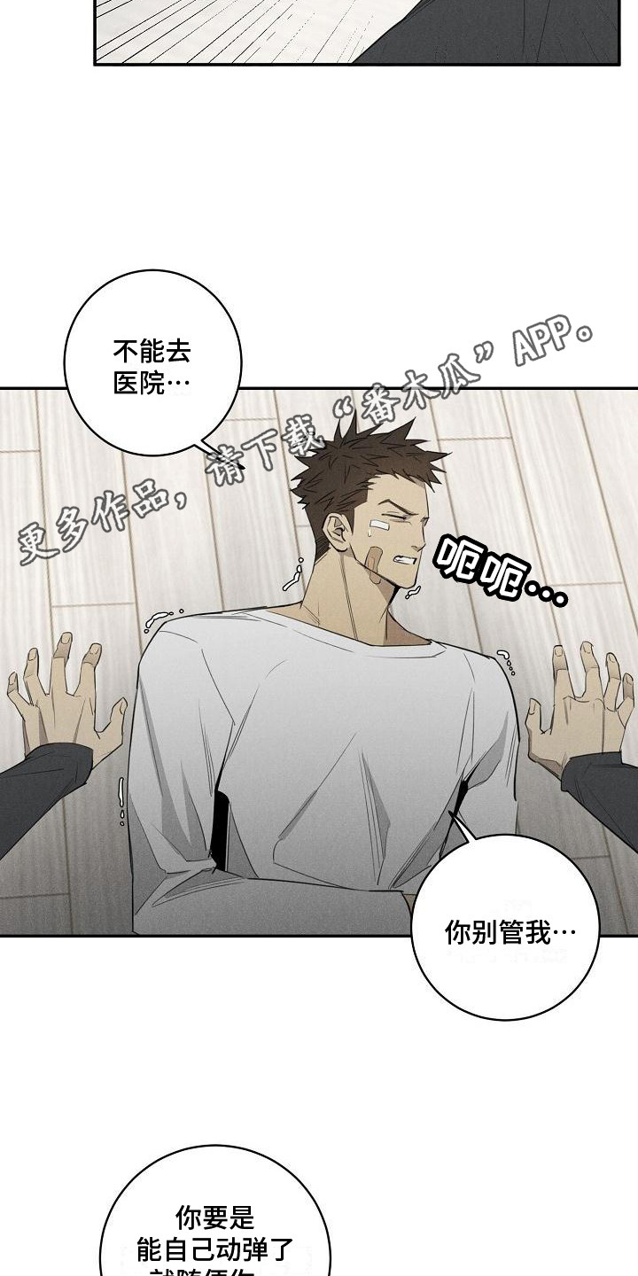 迷失方向 - 宠物医院 - 第6页