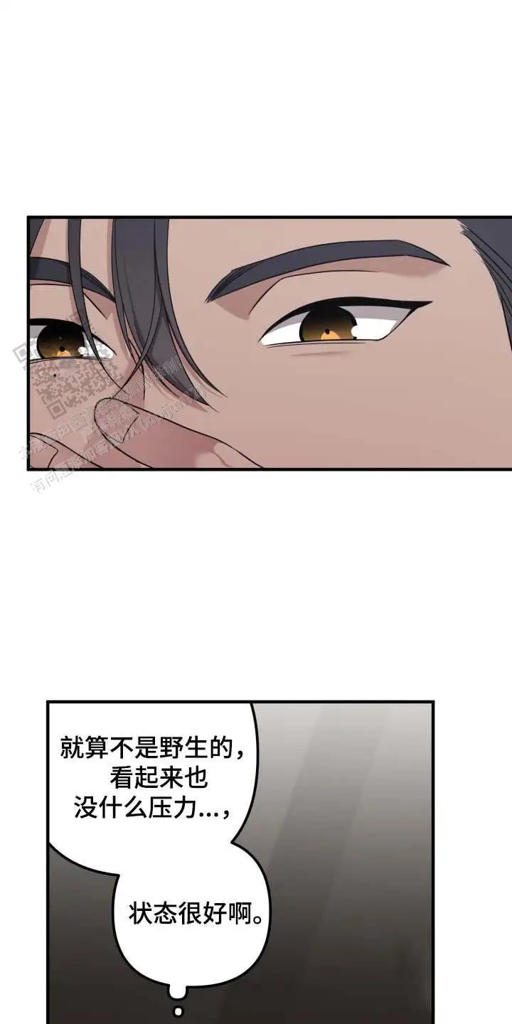 猛宠旧情 - 能力出色 - 第23页