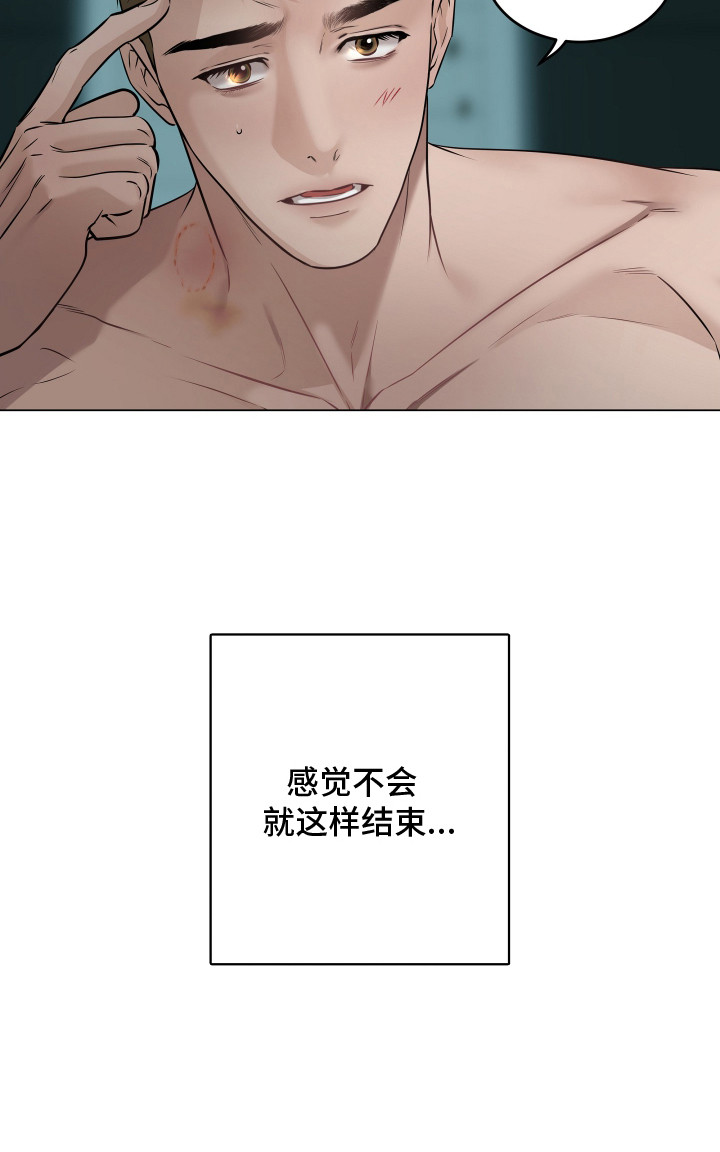 忠诚的背面 - 保密 - 第24页