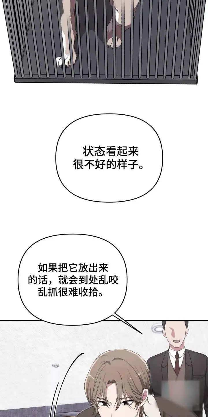猛宠旧情 - 狼崽 - 第22页