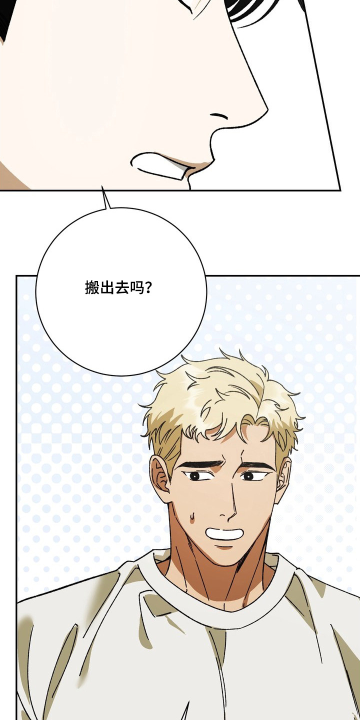纯爱魔鬼 - 妨碍 - 第17页