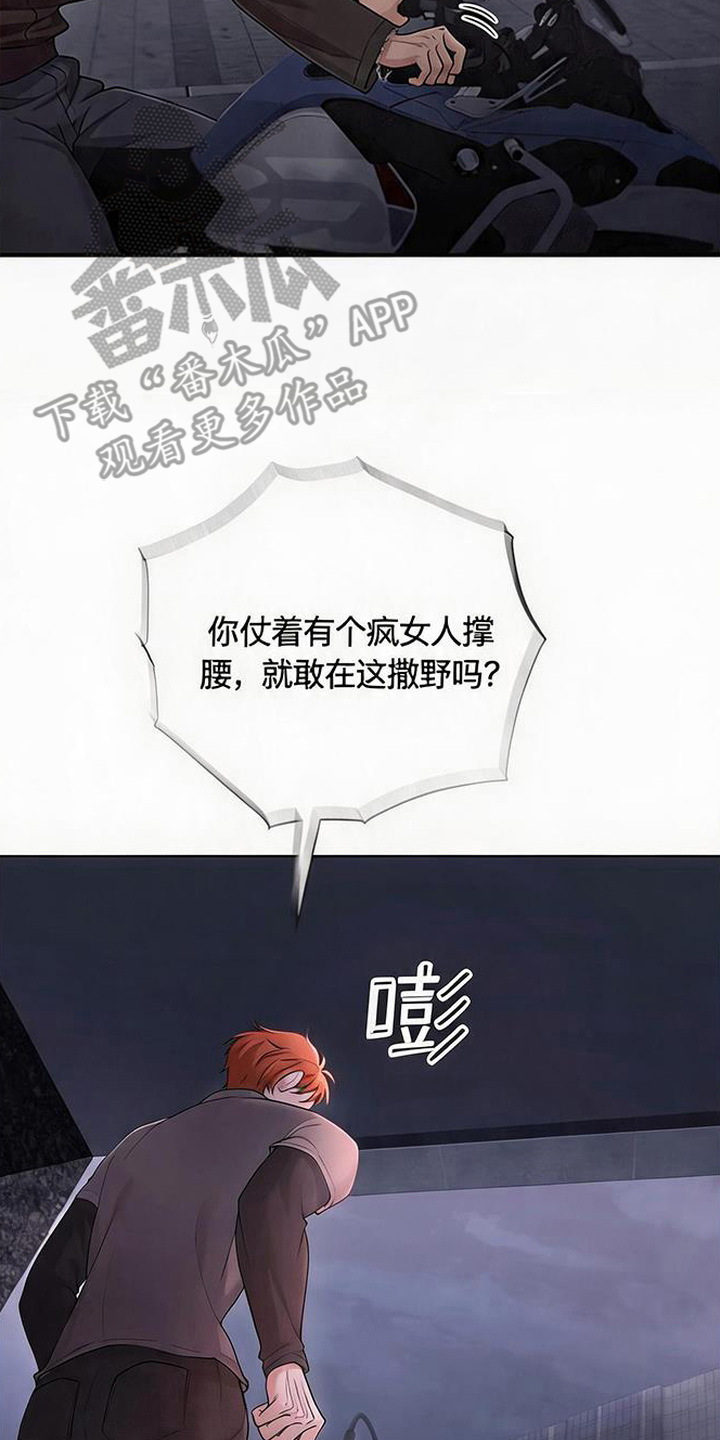 星光狼影 - 挨揍 - 第19页