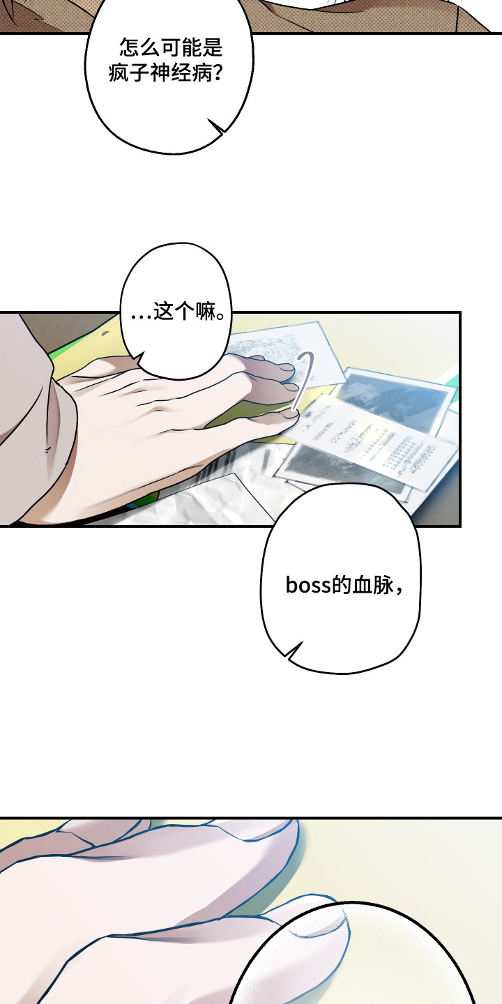 倒悬玫瑰 - 计划 - 第11页